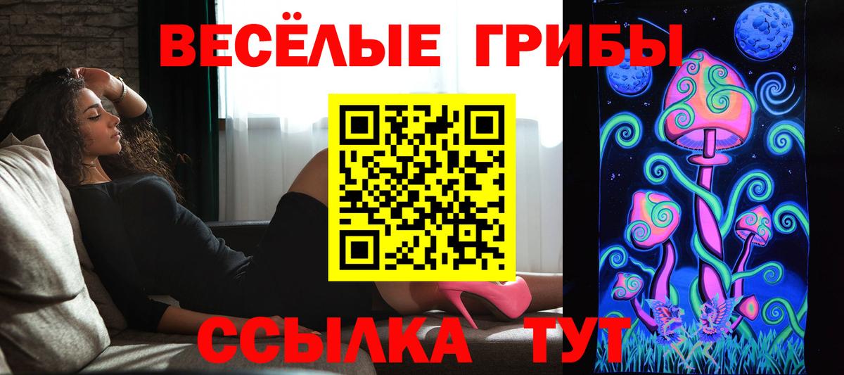 Галлюциногенные грибы GOLDEN TEACHER Курчалой