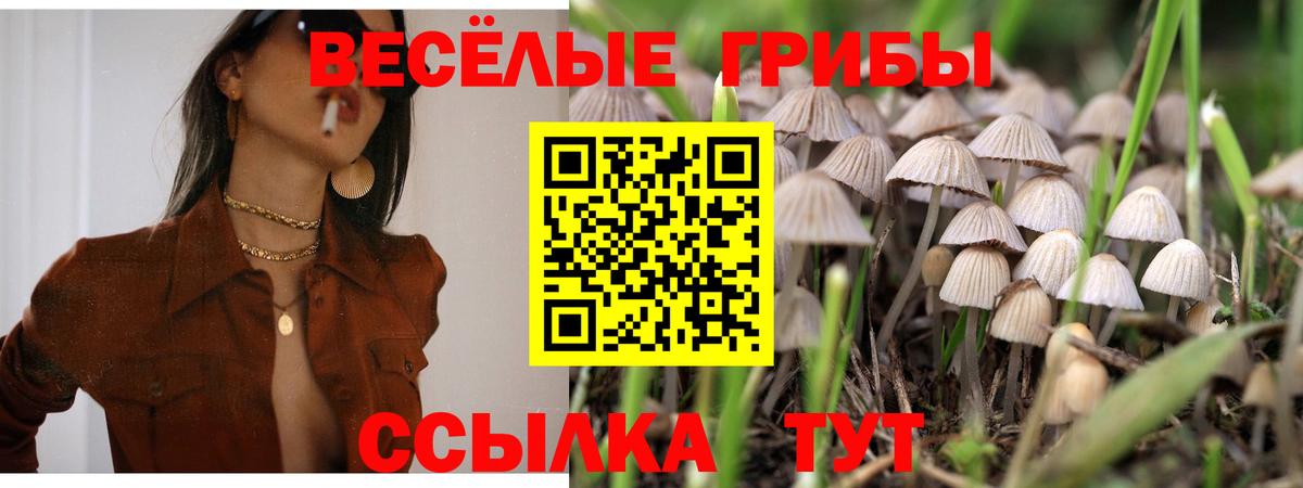 Курчалой  Псилоцибиновые грибы прущие грибы  Галлюциногенные грибы мухоморы  Вход с VPN 